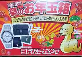ヨドバシカメラ　2025 　レディース　カジュアルウォッチ 71rSdw+mNxL._AC_SY200_QL15_.jpg